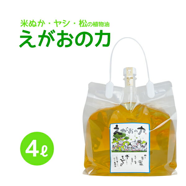 「えがおの力（旧松の力）」4L 植物