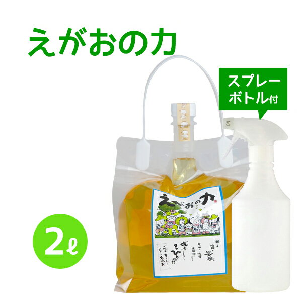 植物油由来成分からできたボタニカル多用途洗剤「えがおの力（旧松の力）」2L濃縮/ 半透明スプレーボトル500mlセット