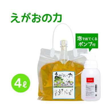 「えがおの力(旧松の力)」4L濃縮/ エコロジー泡ボトル350mlセット 植物油由来成分からできたボタニカル多用途洗剤