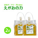 「えがおの力（旧松の力）」2L　2個セット 植物油由来成分からできた濃縮自然派洗剤