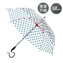 Evereon エバーイオン ドット 60cm 傘 かさ カサ umbrella アンブレラ ビニール傘 グラスファイバー 強風　婦人傘 サビにくい　サスティナブル おしゃれ かわいい 梅雨 レディース 水玉 人気 サエラ colorful