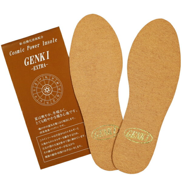 【メール便で送料無料】Cosmic Power Insole GENKI EXTRA インソール 靴 中敷き 消臭 吸湿【抗酸化溶液活用製品】サイズフリー（型紙あり 21.5cm〜26.5cm)