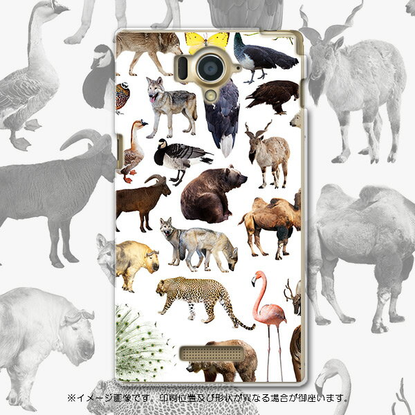 304SH AQUOS Xx アクオスダブルエックス 304sh softbank ソフトバンク スマホ カバー ケース スマホケース スマホカバー PC ハードケース 写真　鳥　ヒョウ　熊 アニマル 008845