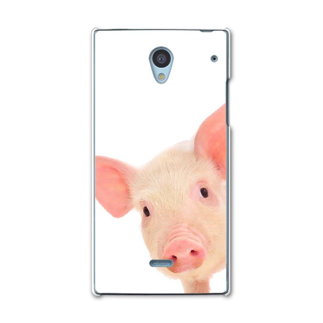 305SH AQUOS CRYSTAL アクオス クリスタル 305sh softbank ソフトバンク スマホ カバー ケース スマホケース スマホカバー PC ハードケース ぶた 動物 写真 アニマル 002775