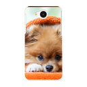 606SH AQUOS ea アクオス shm06 softbank ソフトバンク スマホ カバー ケース スマホケース スマホカバー PC ハードケース #ジャンル 犬 写真 オレンジ 008644(2)