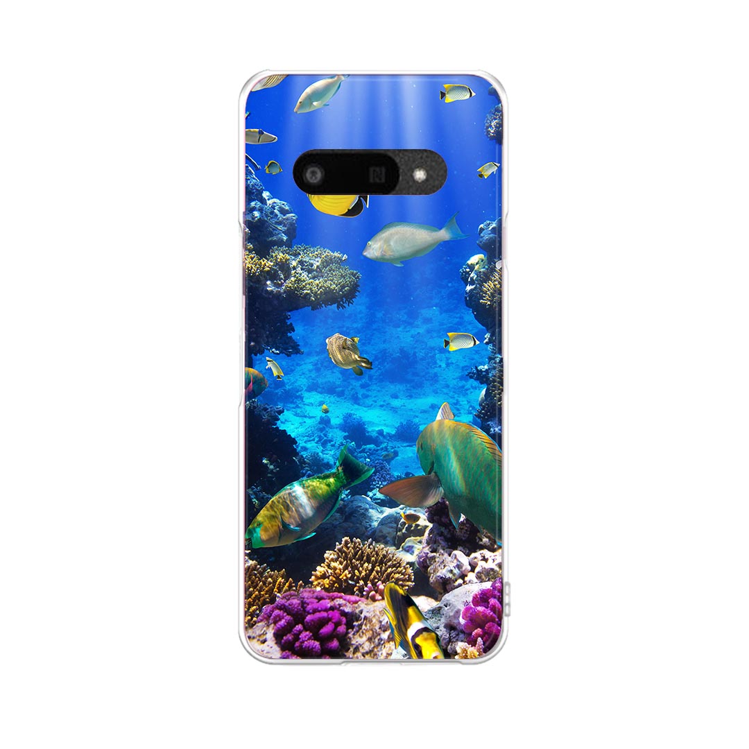 DIGNO BX3 用 A401KC / A402KC / A403KC 共通対応 ケース カバー ハードケース 004493 海　魚　写真(2.0)