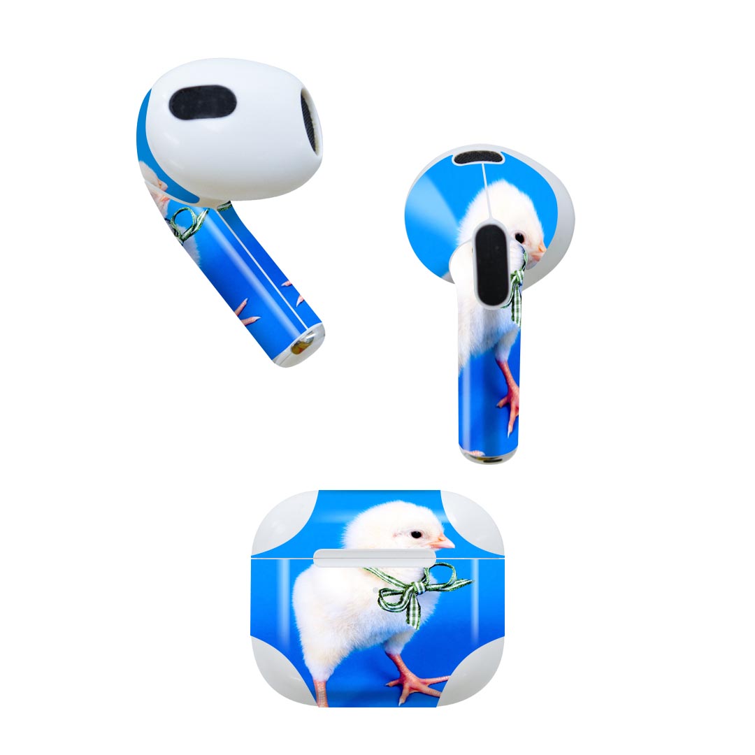 AirPods 第3世代 専用 デザインスキンシール airpods 3 用 エアポッド 3 用 第三世代（2021）対応 2枚入り 各2枚セット イヤホン カバー デコレーション アクセサリー デコシール 002683 鳥　動物　写真