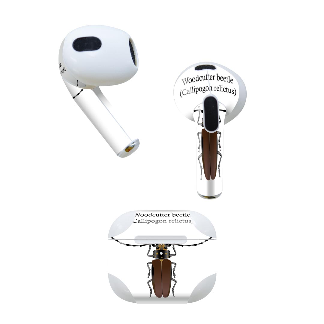 AirPods 第3世代 専用 デザインスキンシール airpods 3 用 エアポッド 3 用 第三世代（2021）対応 2枚..