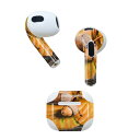 AirPods 第3世代 専用 デザインスキンシール airpods 3 用 エアポッド 3 用 第三世代(2021)対応 2枚入り 各2枚セット イヤホン カバー デコレーション アクセサリー デコシール 022839 葉っぱ 秋 写真