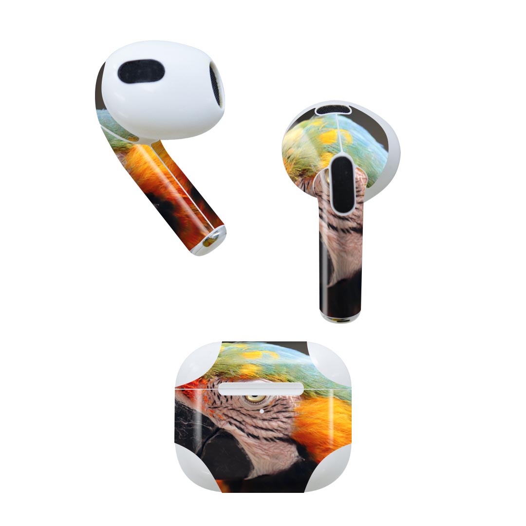 AirPods 第3世代 専用 デザインスキンシール airpods 3 用 エアポッド 3 用 第三世代（2021）対応 2枚入り 各2枚セット イヤホン カバー デコレーション アクセサリー デコシール 022983 オウム　カラフル　鳥