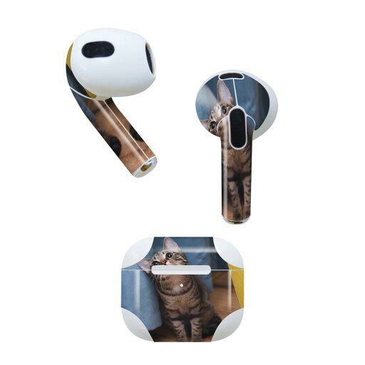 AirPods 第3世代 専用 デザインスキンシール airpods 3 用 エアポッド 3 用 第三世代(2021)対応 2枚入り 各2枚セット イヤホン カバー デコレーション アクセサリー デコシール 023082 猫 ねこ 動物 写真 AirPods 第3世代 専用 デザインスキンシール airpods 3 用 エアポッド 3 用 第三世代(2021)対応 2枚入り 各2枚セット イヤホン カバー デコレーション アクセサリー デコシール 023082 猫 ねこ 動物 写真