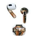 AirPods 第3世代 専用 デザインスキンシール airpods 3 用 エアポッド 3 用 第三世代(2021)対応 2枚入り 各2枚セット イヤホン カバー デコレーション アクセサリー デコシール 023456 アイスクリーム 写真 食べ物