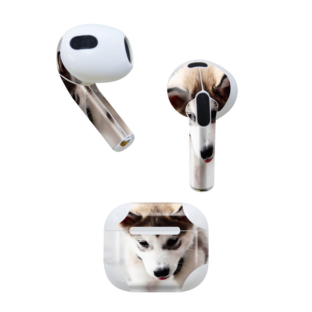 AirPods 第3世代 専用 デザインスキンシール airpods 3 用 エアポッド 3 用 第三世代（2021）対応 2枚入り 各2枚セット イヤホン カバー デコレーション アクセサリー デコシール 005831 アニマル 写真　動物　犬