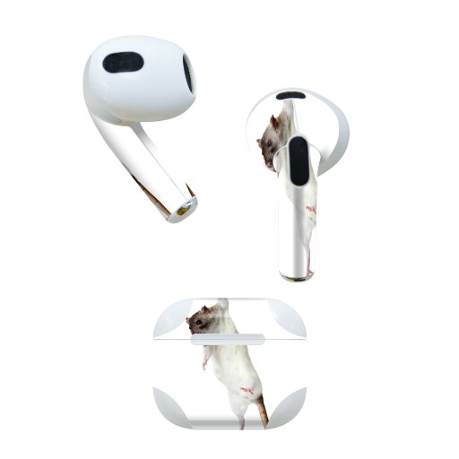 AirPods 第3世代 専用 デザインスキンシール airpods 3 用 エアポッド 3 用 第三世代(2021)対応 2枚入り 各2枚セット イヤホン カバー デコレーション アクセサリー デコシール 005911 アニマル 写真 動物 ねずみ AirPods 第3世代 専用 デザインスキンシール airpods 3 用 エアポッド 3 用 第三世代(2021)対応 2枚入り 各2枚セット イヤホン カバー デコレーション アクセサリー デコシール 005911 アニマル 写真 動物 ねずみ
