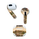 AirPods 第3世代 専用 デザインスキンシール airpods 3 用 エアポッド 3 用 第三世代(2021)対応 2枚入り 各2枚セット イヤホン カバー デコレーション アクセサリー デコシール 006195 絵画 イラスト 船(2)