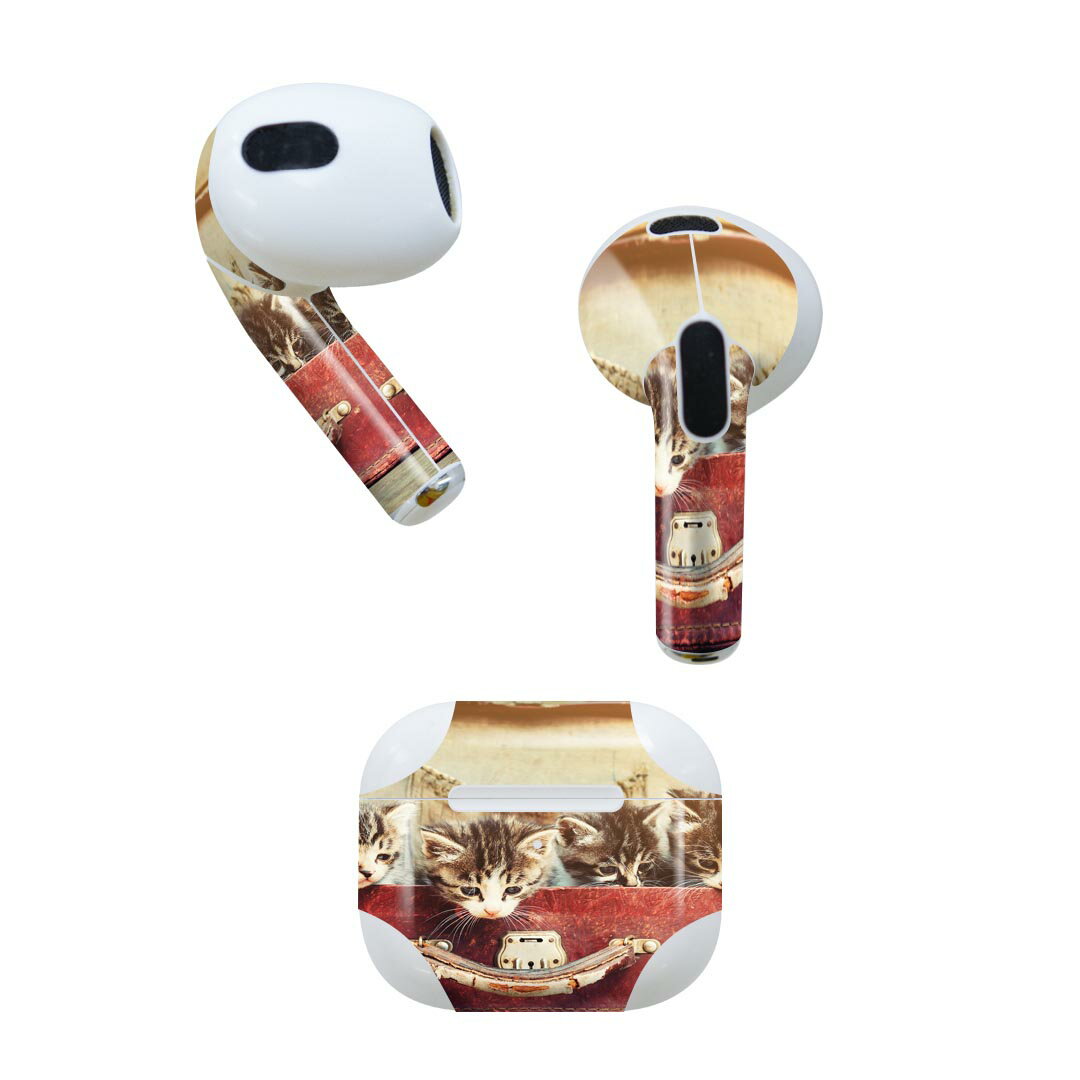 AirPods 第3世代 専用 デザインスキンシール airpods 3 用 エアポッド 3 用 第三世代（2021）対応 2枚..