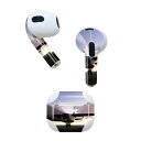 AirPods 第3世代 専用 デザインスキンシール airpods 3 用 エアポッド 3 用 第三世代(2021)対応 2枚入り 各2枚セット イヤホン カ...