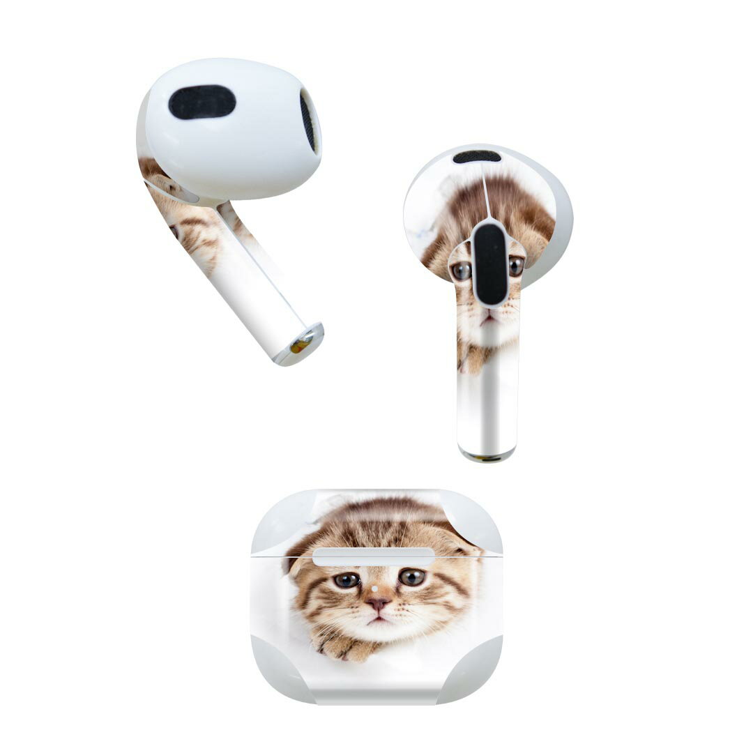 AirPods 第3世代 専用 デザインスキンシール airpods 3 用 エアポッド 3 用 第三世代（2021）対応 2枚..