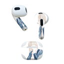 AirPods 第3世代 専用 デザインスキンシール airpods 3 用 エアポッド 3 用 第三世代(2021)対応 2枚入り 各2枚セット イヤホン カ...