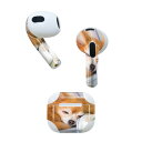 AirPods 第3世代 専用 デザインスキンシール airpods 3 用 エアポッド 3 用 第三世代(2021)対応 2枚入り 各2枚セット イヤホン カ...