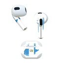 AirPods 第3世代 専用 デザインスキンシール airpods 3 用 エアポッド 3 用 第三世代(2021)対応 2枚入り 各2枚セット イヤホン カバー デコレーション アクセサリー デコシール 018840 国旗 guatemala グアテマラ(2)