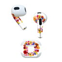 AirPods 第3世代 専用 デザインスキンシール airpods 3 用 エアポッド 3 用 第三世代(2021)対応 2枚入り 各2枚セット イヤホン カ...