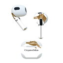 AirPods 第3世代 専用 デザインスキンシール airpods 3 用 エアポッド 3 用 第三世代(2021)対応 2枚入り 各2枚セット イヤホン カバー デコレーション アクセサリー デコシール 019780 恐竜 恐竜 Cryptoclidus クリプトクリドゥス