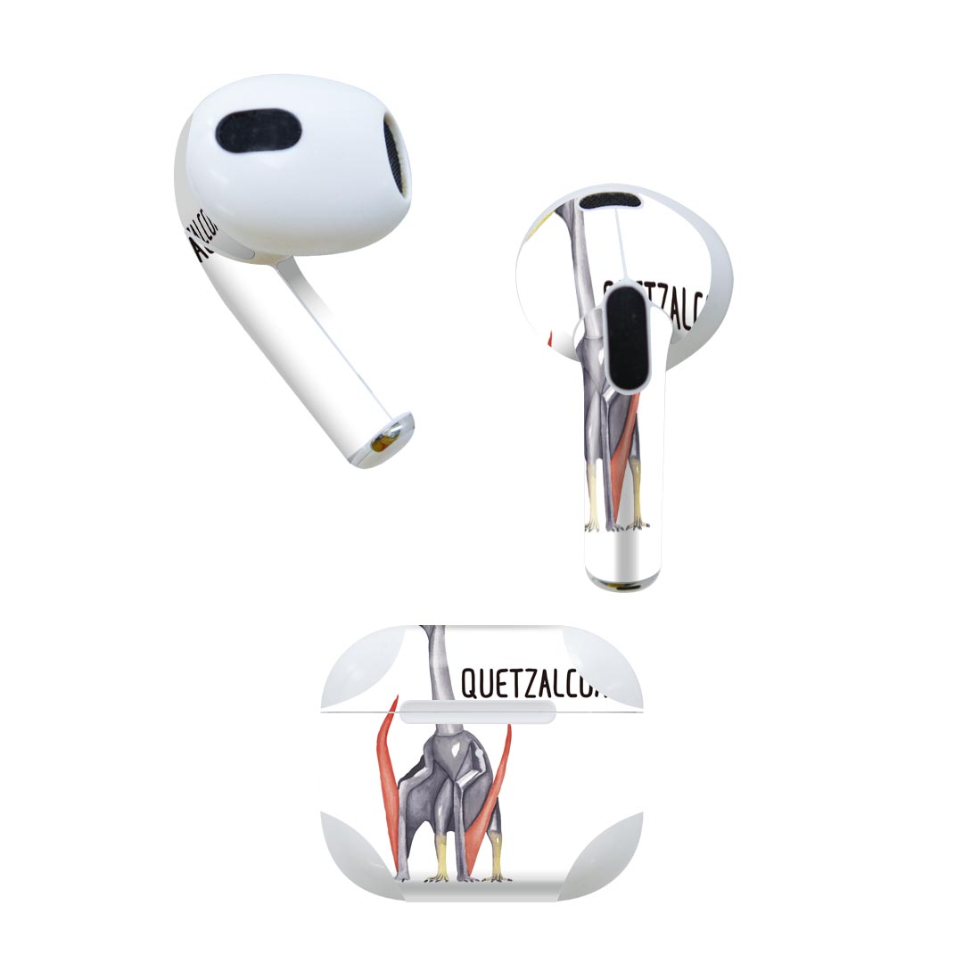 AirPods 第3世代 専用 デザインスキンシール airpods 3 用 エアポッド 3 用 第三世代（2021）対応 2枚入り 各2枚セット イヤホン カバー デコレーション アクセサリー デコシール 019824 恐竜 恐竜 Quetzalcoaflus ケツァルコアトルス