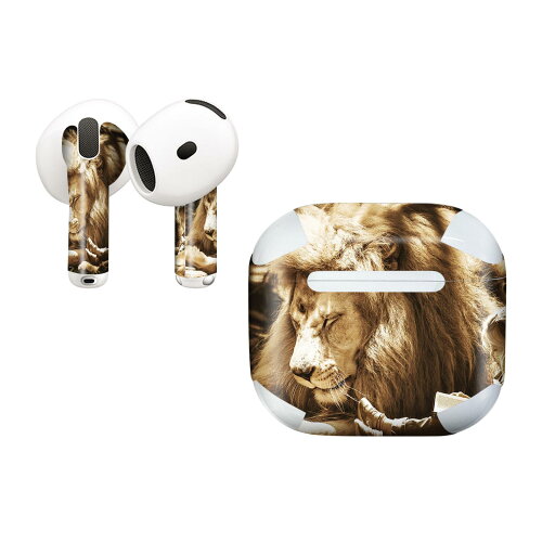 AirPods4 用 オシャレに着飾るデザインステッカー AirPods4 用 オシャレに着飾るデザインステッカー