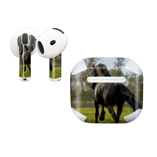 AirPods4 用 オシャレに着飾るデザインステッカー AirPods4 用 オシャレに着飾るデザインステッカー