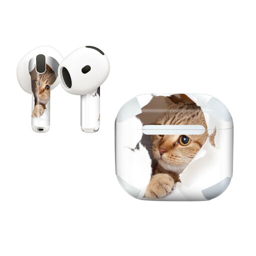 AirPods4 用 オシャレに着飾るデザインステッカー AirPods4 用 オシャレに着飾るデザインステッカー