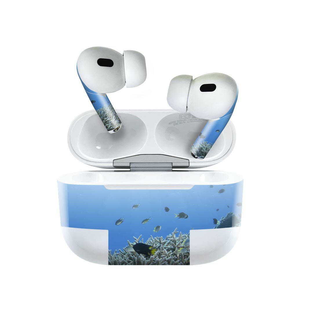 Air Pods Pro2 / Pro1 専用 デザインスキンシール airpods エアポッド apple アップル AirPods Pro 第1世代 airpodsPro 第2世代 対応 ..