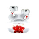 Air Pods Pro2 / Pro1 専用 デザインスキンシール airpods エアポッド apple アップル AirPods Pro 第1世代 airpodsPro 第2世代 対応 イヤホン カバー デコレーション アクセサリー デコシール 001062 ハート リボン