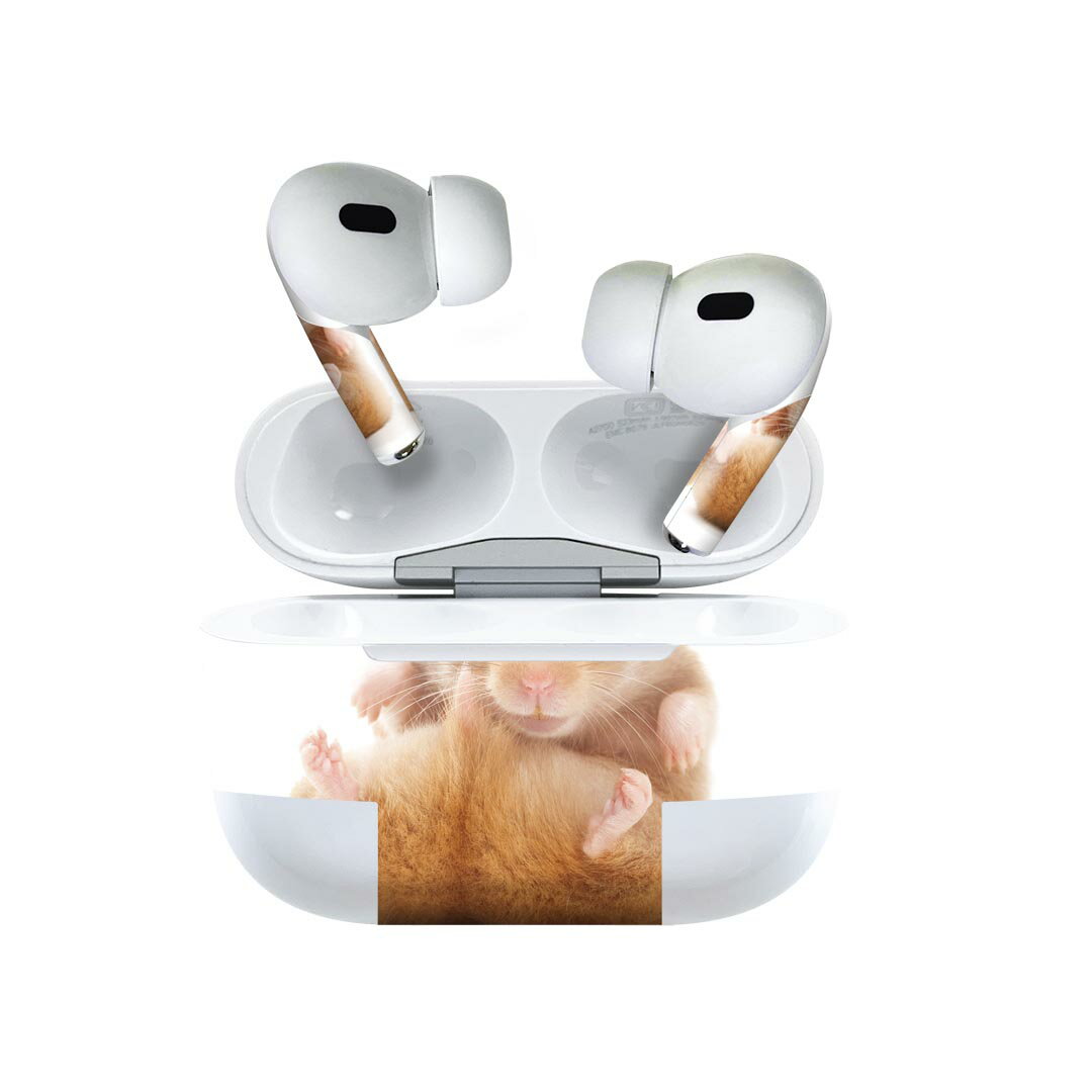 Air Pods Pro2 / Pro1 専用 デザインスキンシール airpods エアポッド apple アップル AirPods Pro 第1..