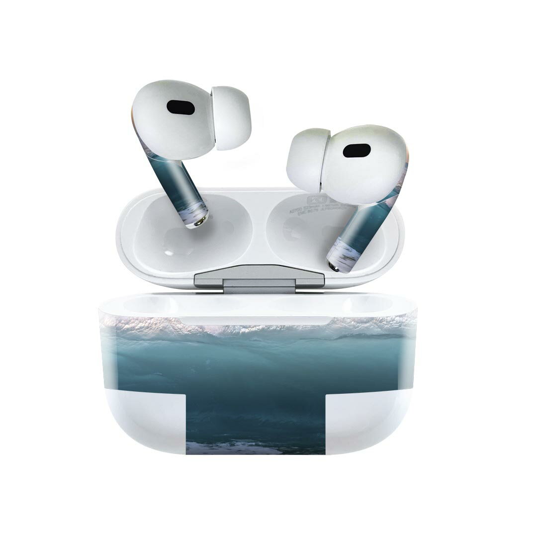 Air Pods Pro2 / Pro1 専用 デザインスキンシール airpods エアポッド apple アップル AirPods Pro 第1..