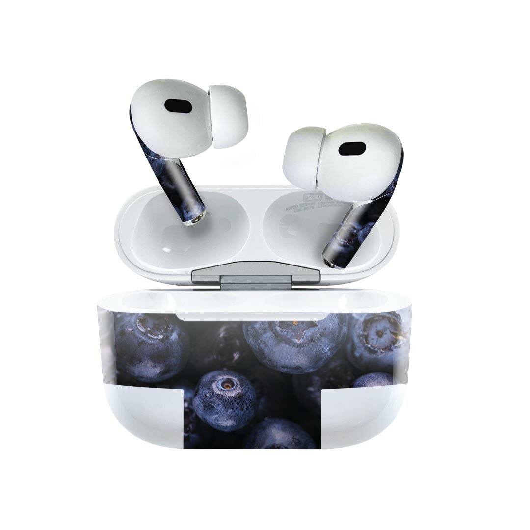 Air Pods Pro2 / Pro1  ǥ󥹥󥷡 airpods ݥå apple åץ AirPods Pr...