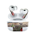 Air Pods Pro2 / Pro1 専用 デザインスキンシール airpods エアポッド apple アップル AirPods Pro 第1世代 airpodsPro 第2世代 対応 イヤホン カバー デコレーション アクセサリー デコシール 023028 スイカ 写真 自転車