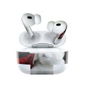 Air Pods Pro2 / Pro1 専用 デザインスキンシール airpods エアポッド apple アップル AirPods Pro 第1世代 airpodsPro 第2世代 対応 イヤホン カバー デコレーション アクセサリー デコシール 023088 猫 写真 クリスマス サンタクロース