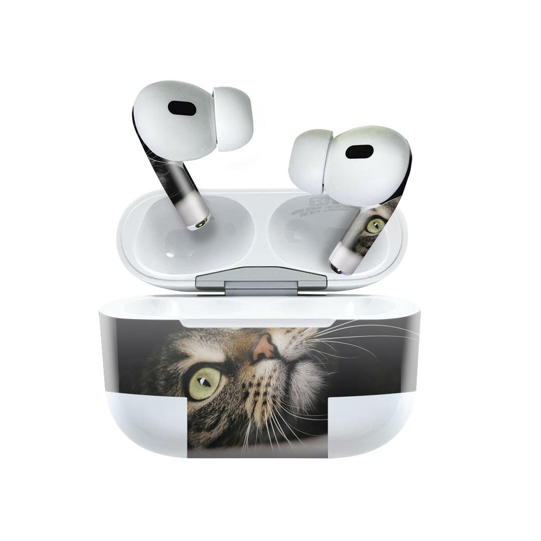 Air Pods Pro2 / Pro1 専用 デザインスキンシール airpods エアポッド apple アップル AirPods Pro 第1世代 airpodsPro 第2世代 対応 イヤホン カバー デコレーション アクセサリー デコシール 023089 猫　ねこ　動物　写真