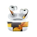 Air Pods Pro2 / Pro1 p fUCXLV[ airpods GA|bh apple Abv AirPods Pro 1 airpodsPro 2 Ή Cz Jo[ fR[V ANZT[ fRV[ 023161 ԁ@t[