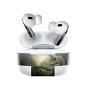 Air Pods Pro2 / Pro1 専用 デザインスキンシール airpods エアポッド apple アップル AirPods Pro 第1世代 airpodsPro 第2世代 対応 イヤホン カバー デコレーション アクセサリー デコシール 023213 恐竜