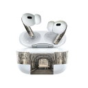 Air Pods Pro2 / Pro1 専用 デザインスキンシール airpods エアポッド apple アップル AirPods Pro 第1世代 airpodsPro 第2世代 対応 イヤホン カバー デコレーション アクセサリー デコシール 023237 風景 セピア(2)