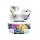 Air Pods Pro2 / Pro1 専用 デザインスキンシール airpods エアポッド apple アップル AirPods Pro 第1世代 airpodsPro 第2世代 対応 イヤホン カバー デコレーション アクセサリー デコシール 023311 花 フラワー 薔薇 レインボー