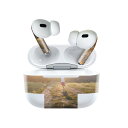 Air Pods Pro2 / Pro1 専用 デザインスキンシール airpods エアポッド apple アップル AirPods Pro 第1世代 airpodsPro 第2世代 対応 イヤホン カバー デコレーション アクセサリー デコシール 023393 子供 写真 風景(2)