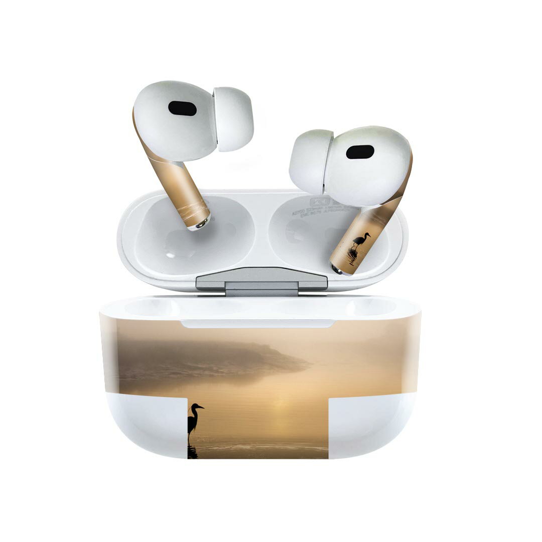 Air Pods Pro2 / Pro1 専用 デザインスキンシール airpods エアポッド apple アップル AirPods Pro 第1世代 airpodsPro 第2世代 対応 イヤホン カバー デコレーション アクセサリー デコシール 023408 鳥　生き物