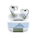 Air Pods Pro2 / Pro1 専用 デザインスキンシール airpods エアポッド apple アップル AirPods Pro 第1世代 airpodsPro 第2世代 対応 イヤホン カバー デコレーション アクセサリー デコシール 023464 風景 写真