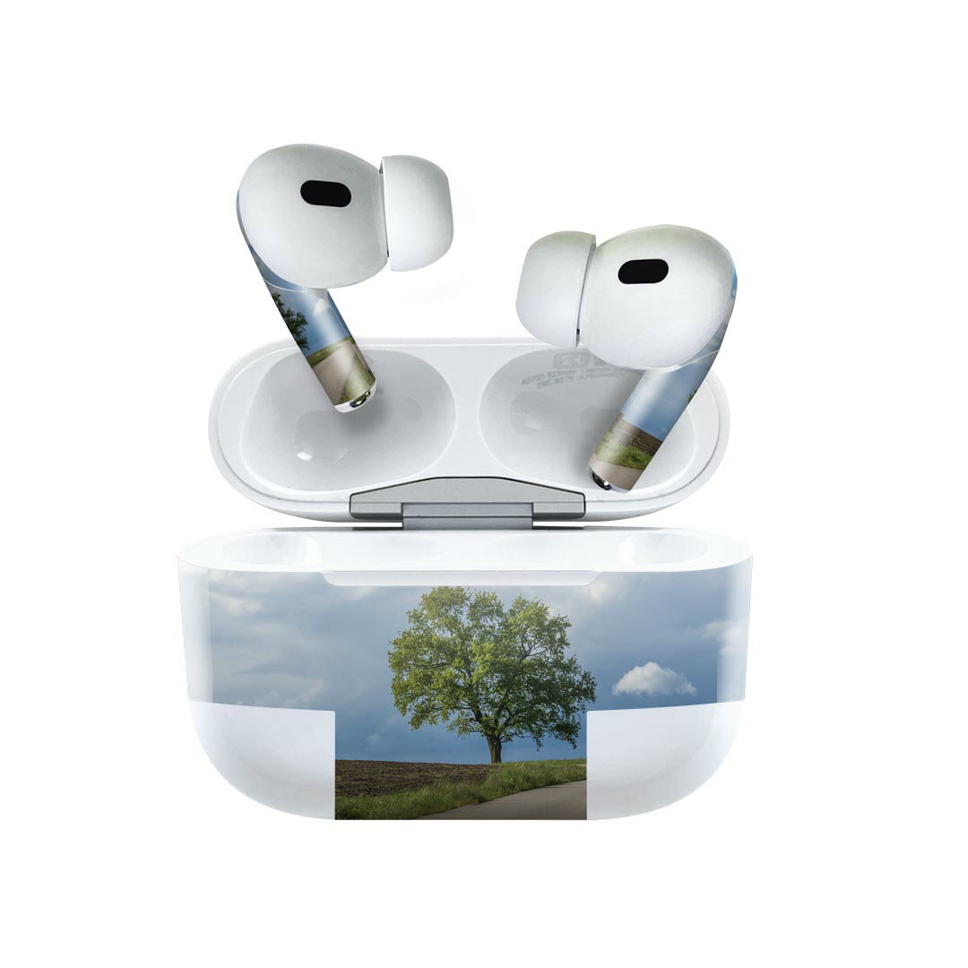 Air Pods Pro2 / Pro1 専用 デザインスキンシール airpods エアポッド apple アップル AirPods Pro 第1世代 airpodsPro 第2世代 対応 イヤホン カバー デコレーション アクセサリー デコシール 023492 景色　自然　写真