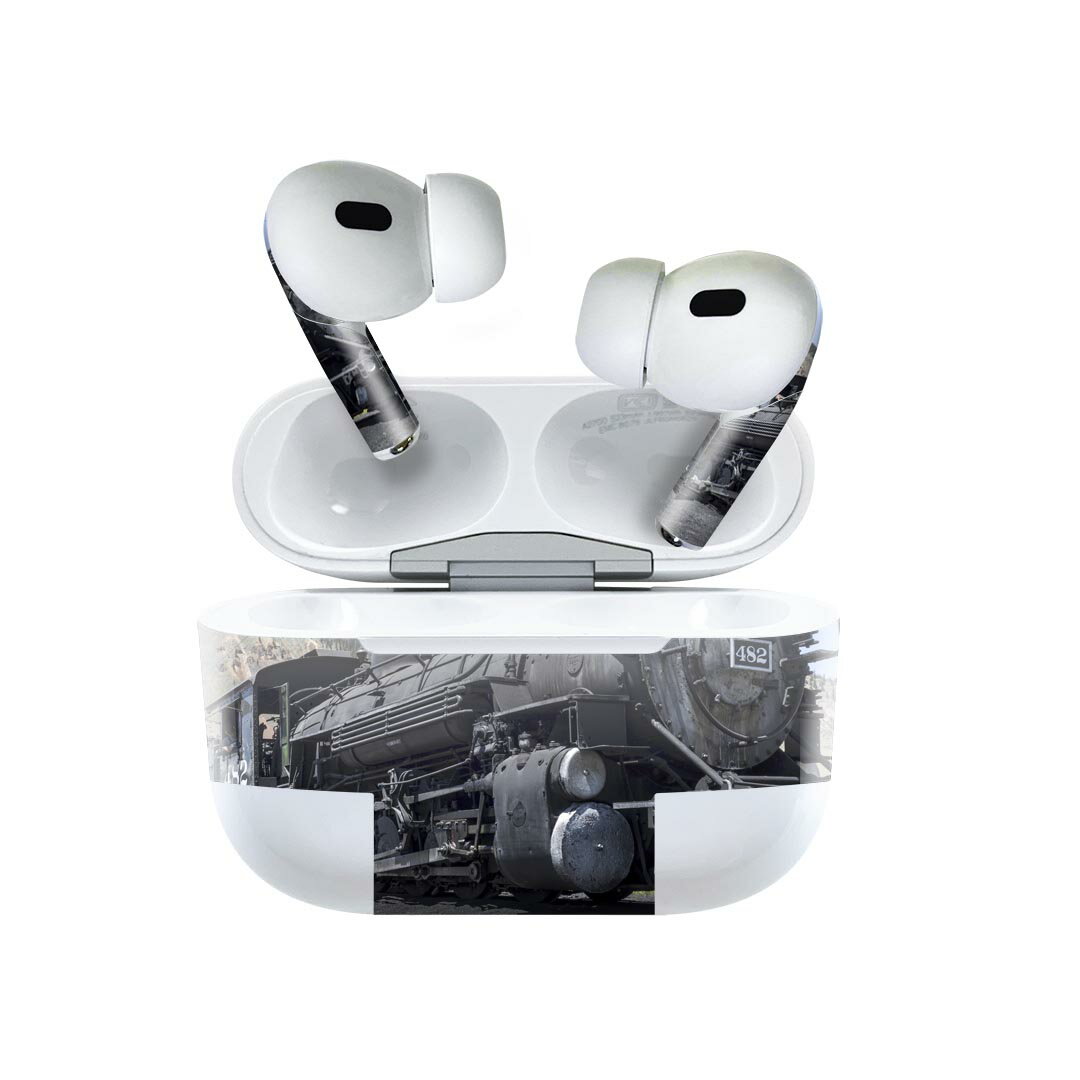 Air Pods Pro2 / Pro1 専用 デザインスキンシール airpods エアポッド apple アップル AirPods Pro 第1..