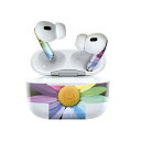 Air Pods Pro2 / Pro1 専用 デザインスキンシール airpods エアポッド apple アップル AirPods Pro 第1世代 airpodsPro 第2世代 対応 イヤホン カバー デコレーション アクセサリー デコシール 023554 花 カラフル レインボー 多様性