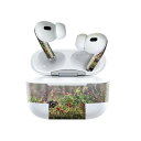 Air Pods Pro2 / Pro1 専用 デザインスキンシール airpods エアポッド apple アップル AirPods Pro 第1世代 airpodsPro 第2世代 対応 イヤホン カバー デコレーション アクセサリー デコシール 023583 秋 植物 草